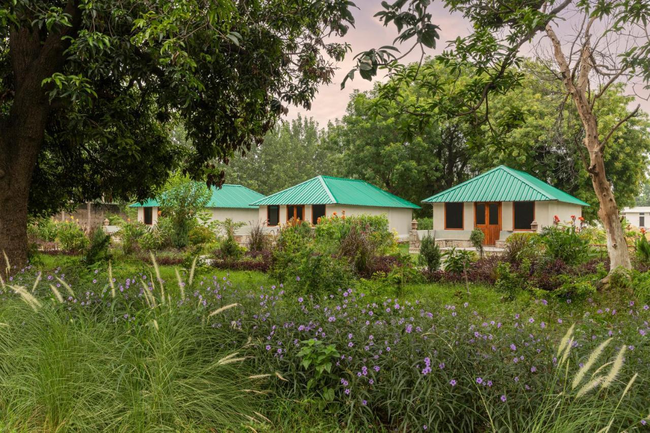 Zana Luxury Forest Resort, Ranthambore Sawai Madhopur Exterior foto