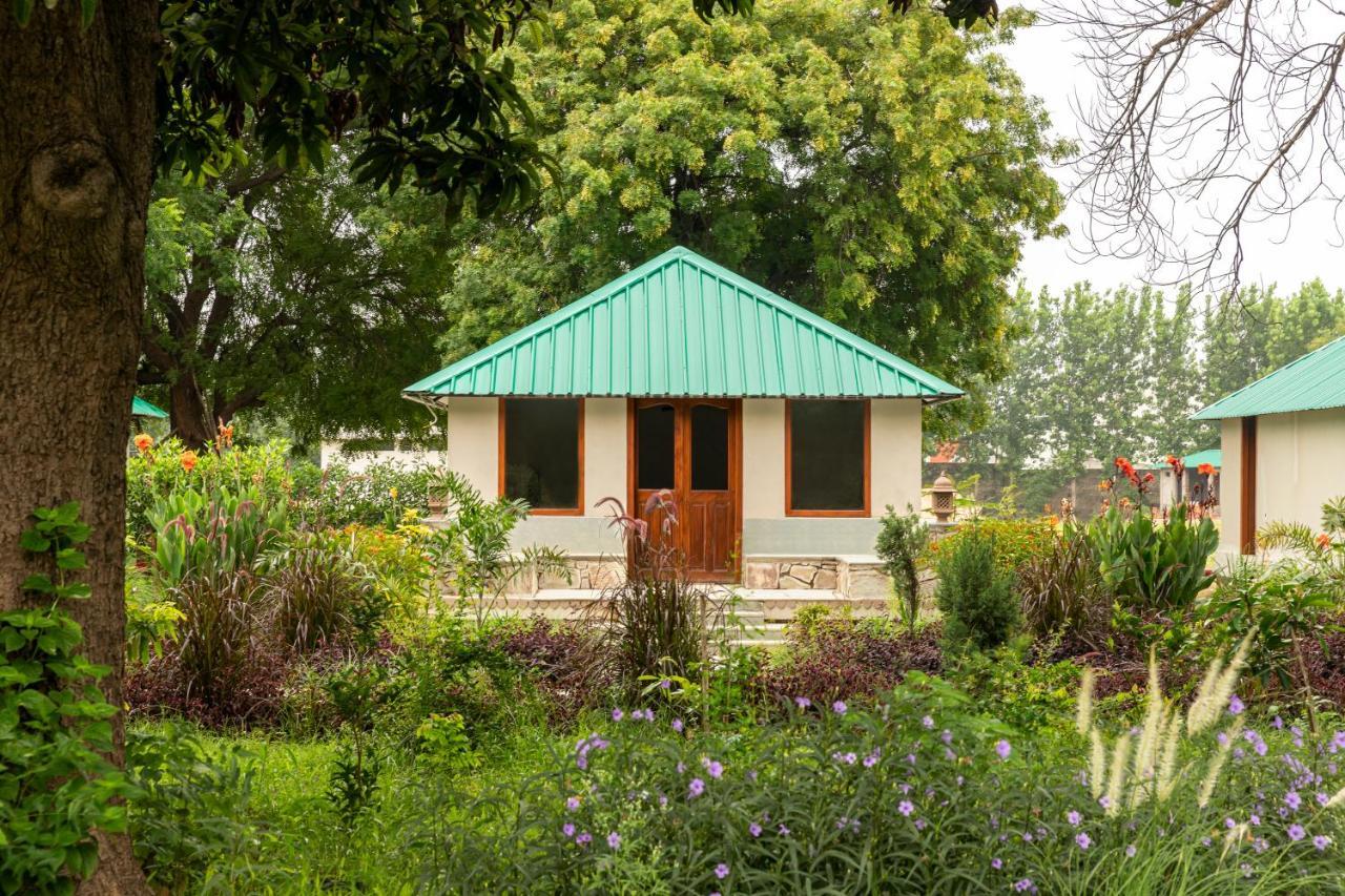 Zana Luxury Forest Resort, Ranthambore Sawai Madhopur Exterior foto