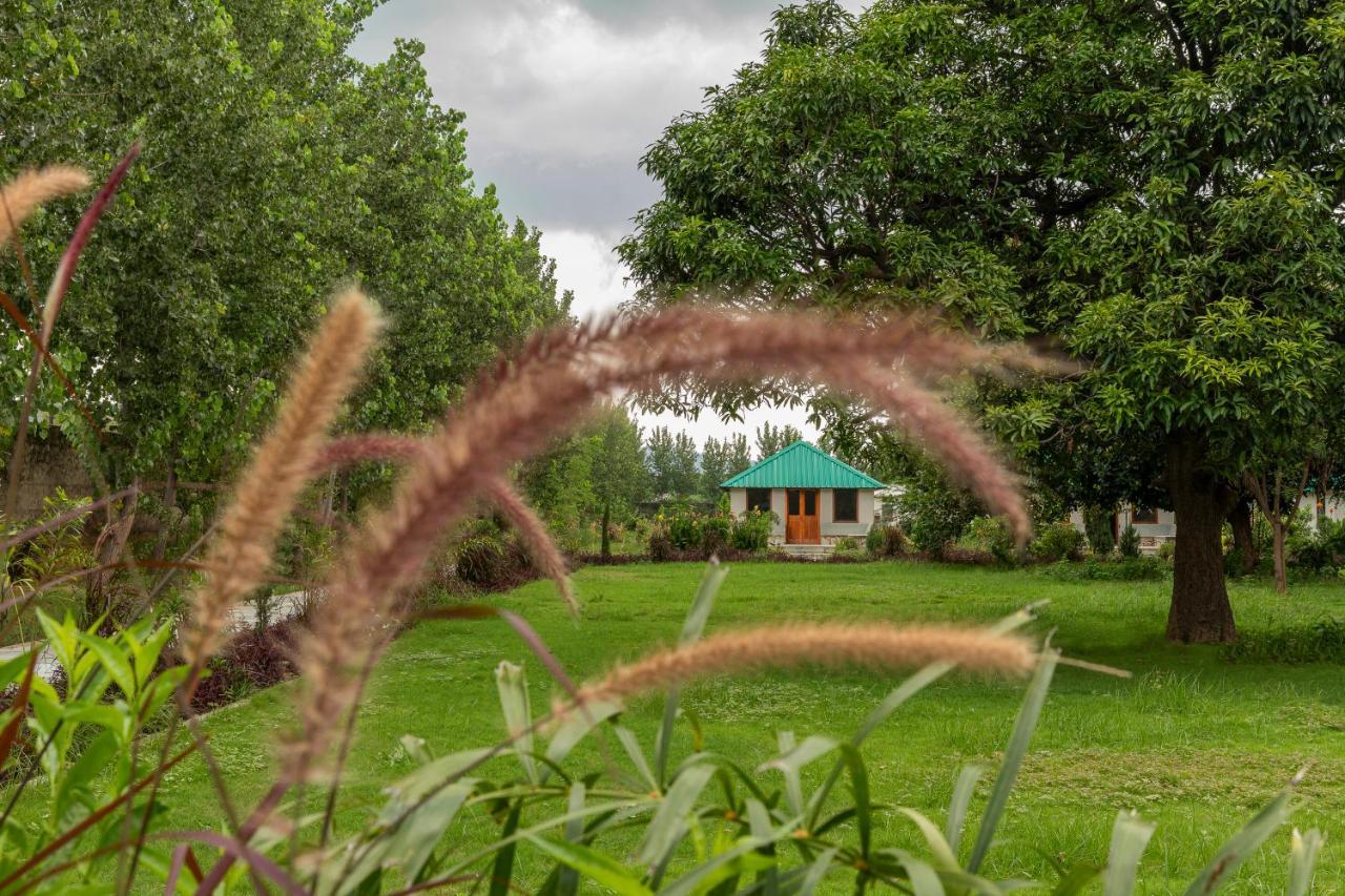 Zana Luxury Forest Resort, Ranthambore Sawai Madhopur Exterior foto
