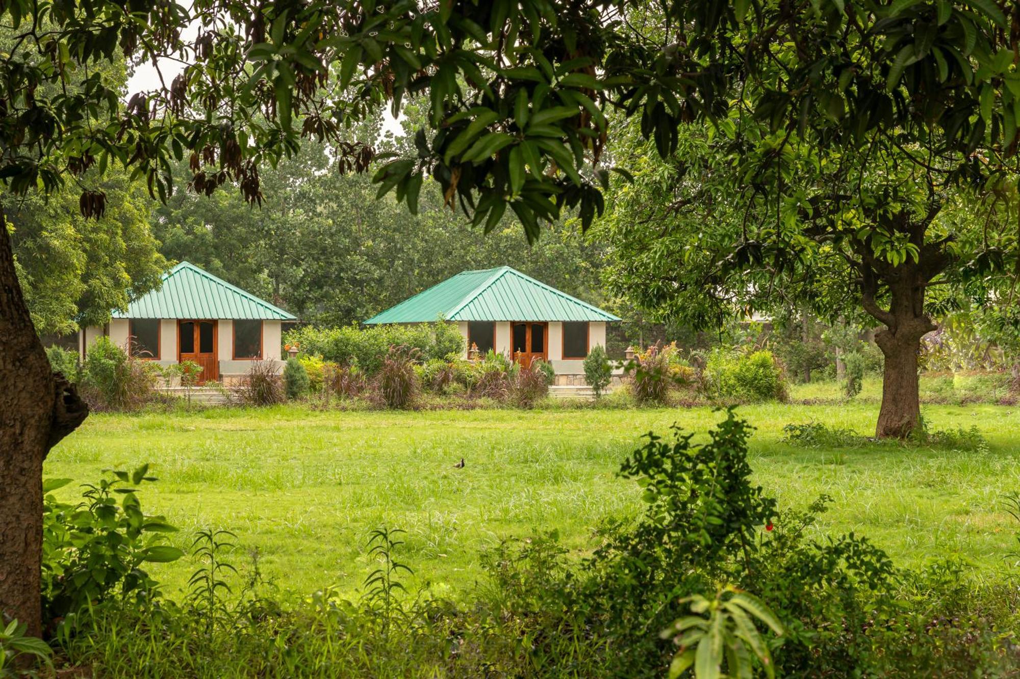 Zana Luxury Forest Resort, Ranthambore Sawai Madhopur Exterior foto